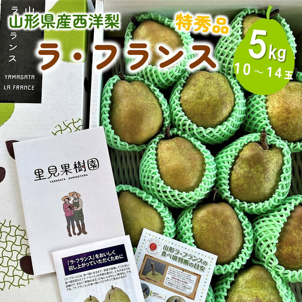 西洋梨 ラ・フランス 5kg 10~14玉 特秀品 果物 フルーツ 産地直送 山形 お取り寄せ 送料無料 山形県 上山市 0079-2520
