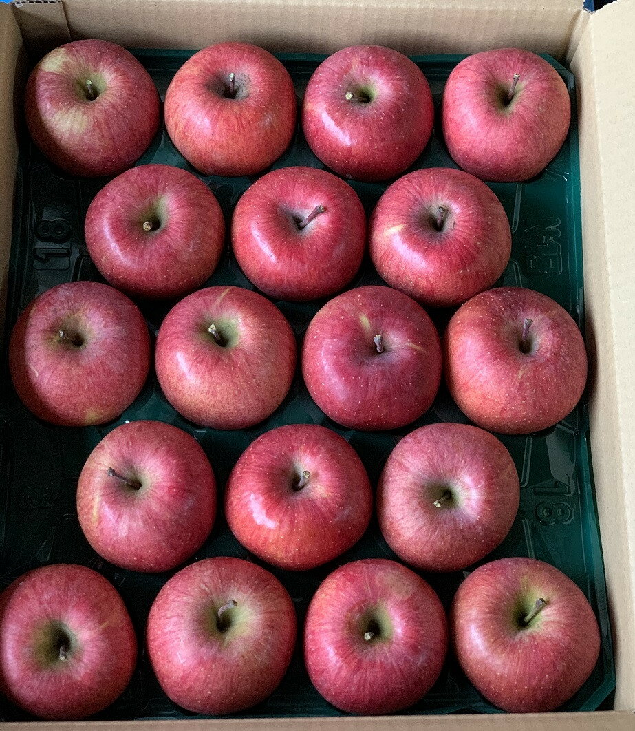 【ふるさと納税】有機肥料栽培 葉とらずサンふじ 上山市産 10kg 36～40玉 りんご 果物 フルーツ 産地直送 山形 お取り寄せ 送料無料 山形県 上山市 0079-2526 サムネイル2