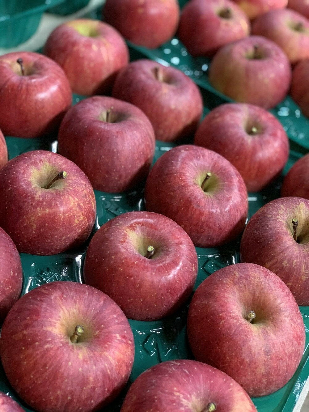 【ふるさと納税】有機肥料栽培 葉とらず サンふじ 上山市産 10kg 46～50玉 りんご 果物 フルーツ 産地直送 山形 お取り寄せ 送料無料 山形県 上山市 0079-2525 サムネイル2