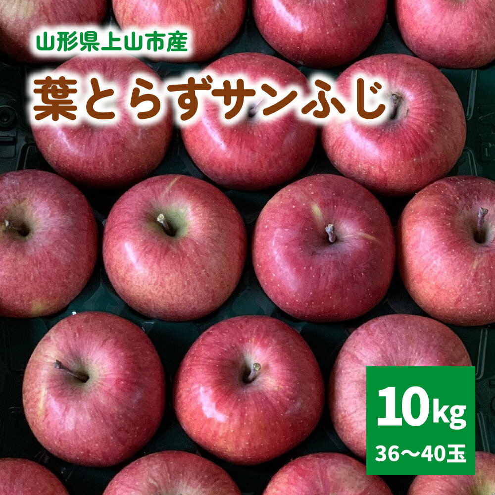 有機肥料栽培 葉とらずサンふじ 上山市産 10kg 36～40玉 りんご 果物 フルーツ 産地直送 山形 お取り寄せ 送料無料 山形県 上山市 0079-2526