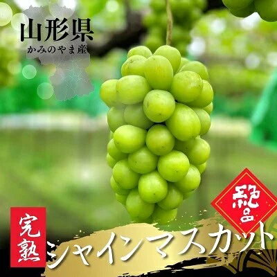 大粒シャインマスカット 3〜5房 合計1.9kg以上 フルーツ ぶどう 山形県 上山市 0079-2512