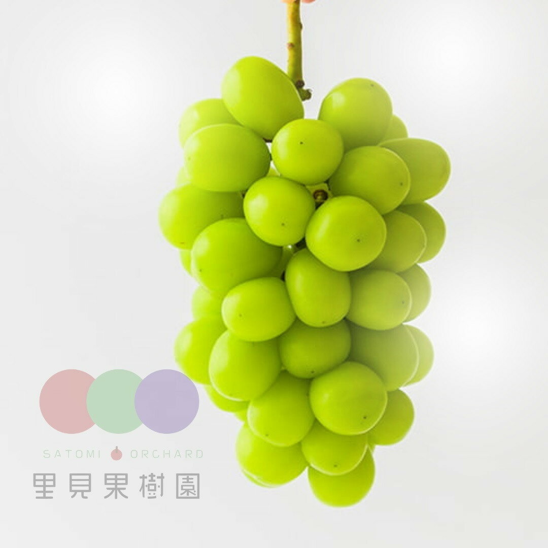 【ふるさと納税】大粒シャインマスカット 3〜5房 合計1.9kg以上 フルーツ ぶどう 山形県 上山市 0079-2512 サムネイル3