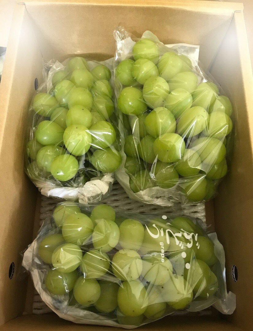 【ふるさと納税】シャインマスカット 3〜5房 合計1.8kg以上 ご家庭用 フルーツ ぶどう 山形県 上山市 0079-2511 サムネイル2