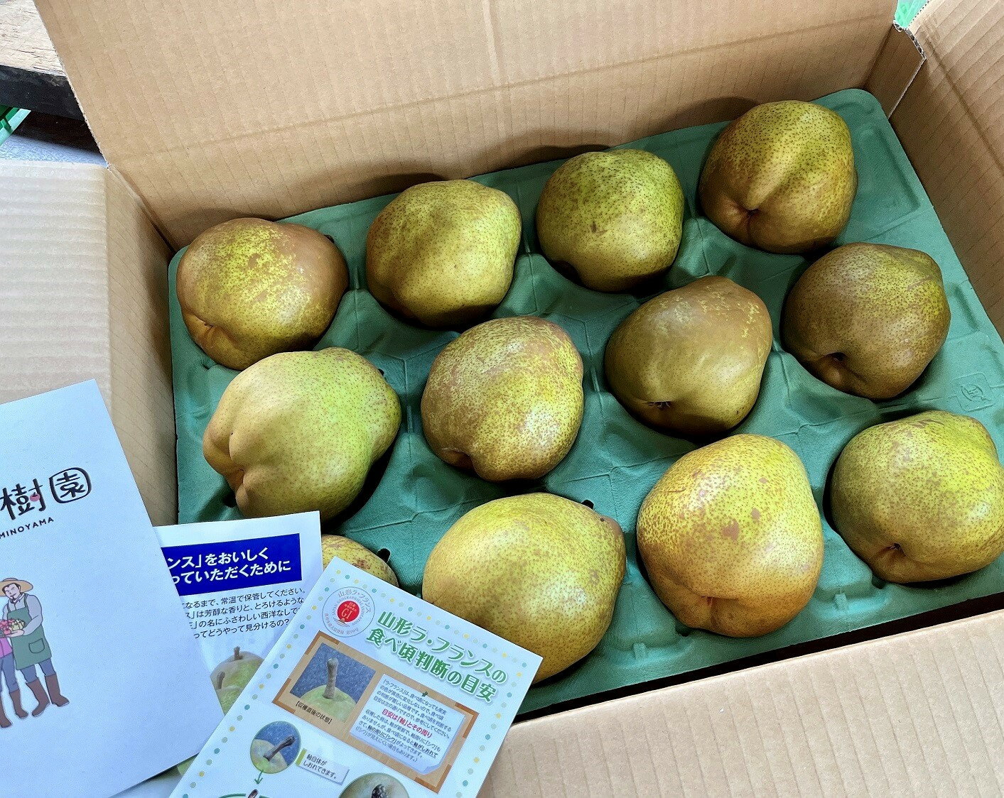 【ふるさと納税】西洋梨 ラ・フランス 5kg 10~14玉 6L～4L サイズ 秀品 果物 フルーツ 産地直送 山形 お取り寄せ 送料無料 山形県 上山市 0079-2517 サムネイル2