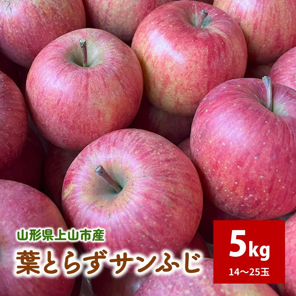 有機肥料栽培 葉とらずサンふじ 上山市産 5kg 14～25玉 ご家庭用 りんご フルーツ 林檎 山形県 上山市 0079-2522