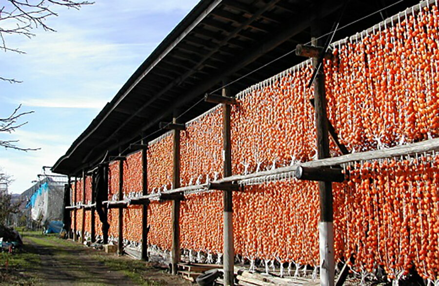 【ふるさと納税】べ二ドール（遠赤外線仕上げ 乾燥 紅干し柿） 20個入り フルーツ 果物 くだもの ドライフルーツ 紅柿 干柿 スイーツ 特産品 個包装 お取り寄せグルメ 和菓子 東北 山形県 上山市 0085-2506 サムネイル3