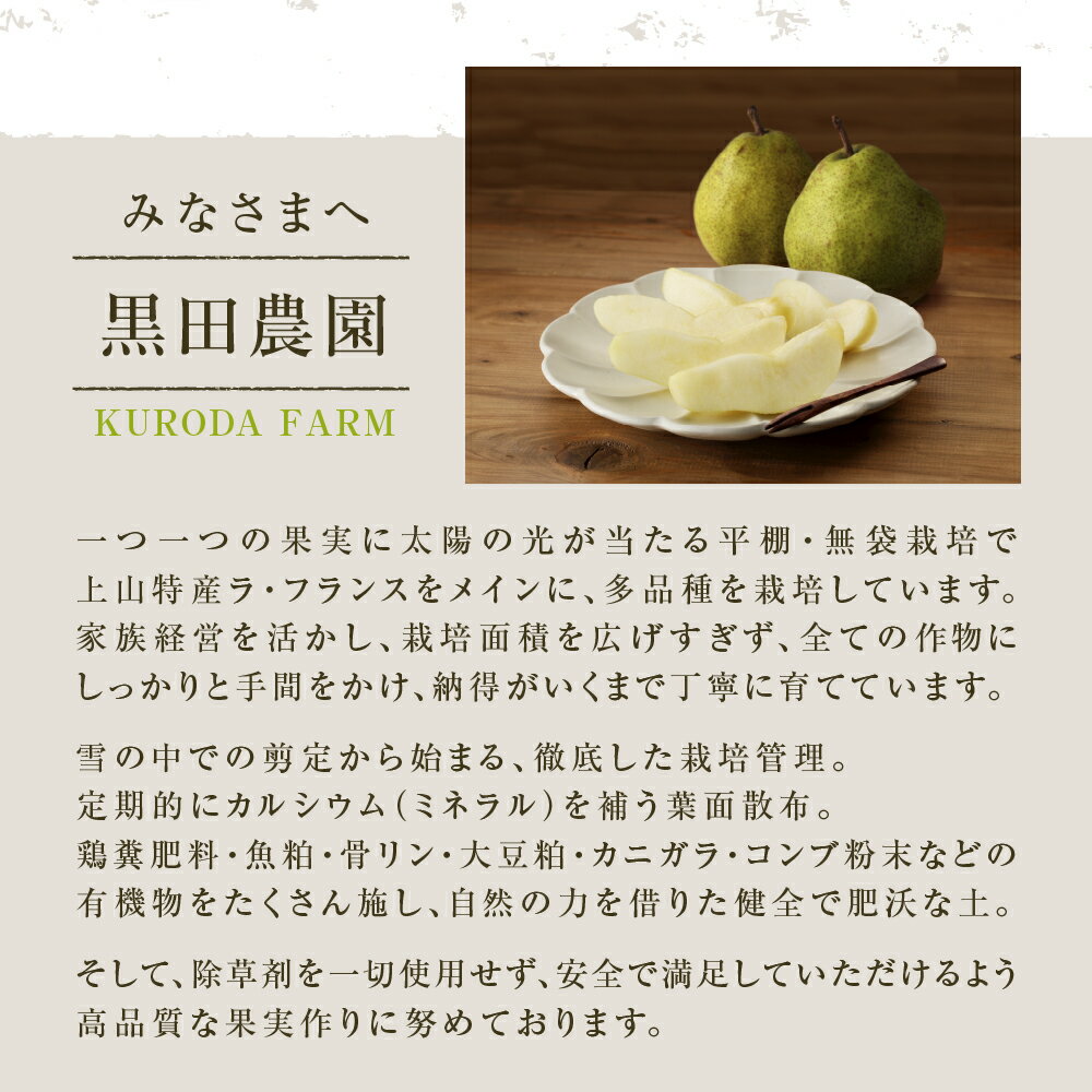 【ふるさと納税】ラ・フランス 3kg 贈答品 果物 フルーツ お取り寄せ 産地直送 送料無料 山形県 上山市 0102-2504 サムネイル3