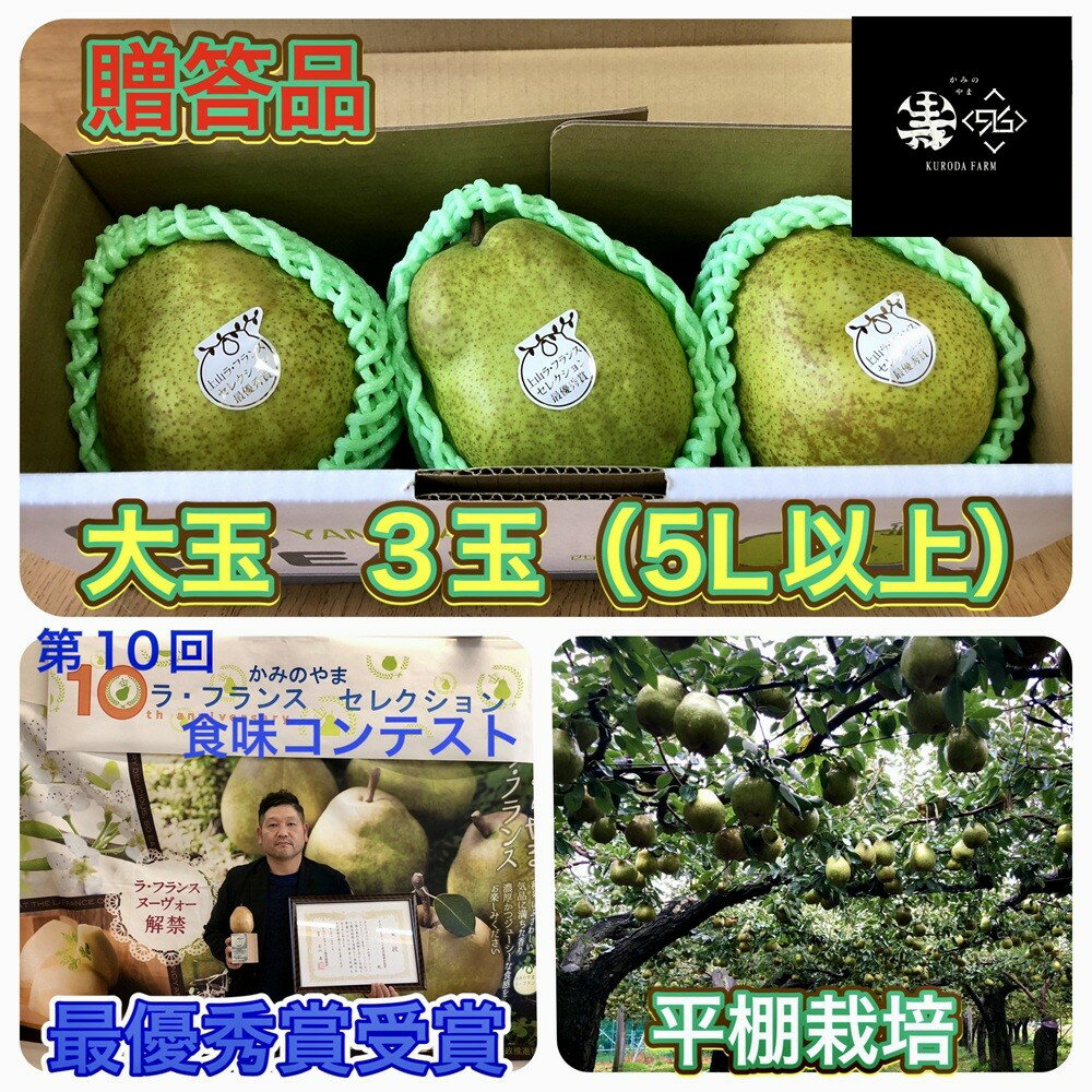 西洋梨 (ラ・フランス) 大玉 3玉 5L~8L サイズ 贈答品 フルーツ 果物 洋梨 なし お取り寄せ 送料無料 山形県 上山市 0102-2603