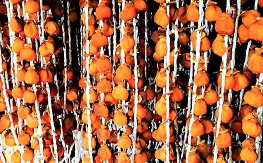 【ふるさと納税】 干し柿 （ 紅柿 ） 32果 Lサイズ 山形県 上山市 0108-2506 サムネイル3