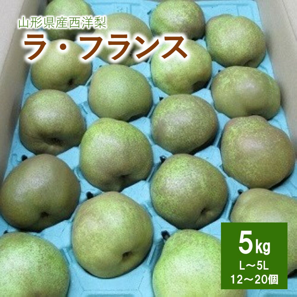 西洋梨 （ラ・フランス） 5kg ご家庭用 果物 フルーツ 洋なし 産地直送 山形 お取り寄せ 送料無料 山形県 上山市 0110-2507