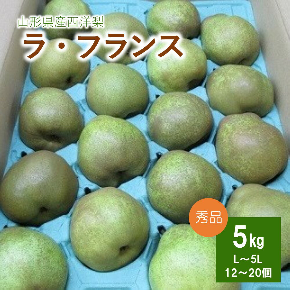西洋梨 （ラ・フランス） 5kg 果物 フルーツ 産地直送 山形 お取り寄せ 送料無料 山形県 上山市 0110-2508