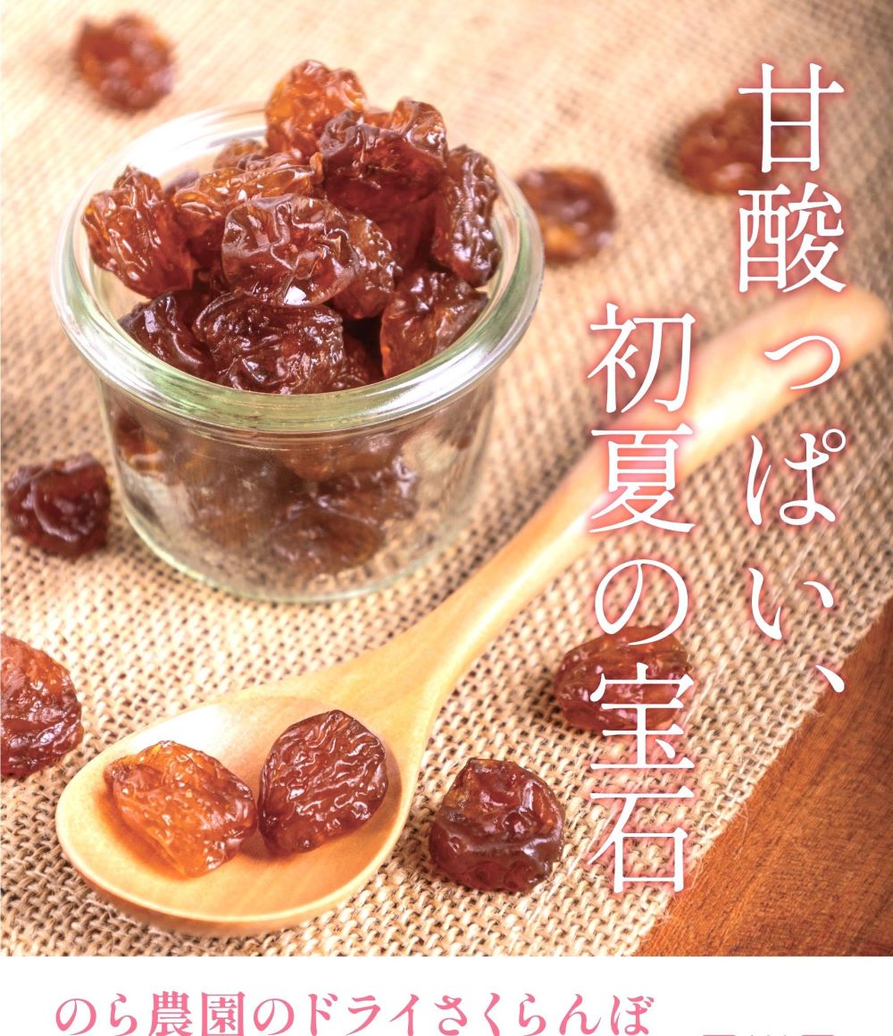 【ふるさと納税】◆甘酸っぱい夏の宝石◆ のら農園の ドライフルーツ さくらんぼ 2袋 果物 フルーツ 山形 産地直送 お取り寄せ 送料無料 山形県 上山市 0123-2502 サムネイル2