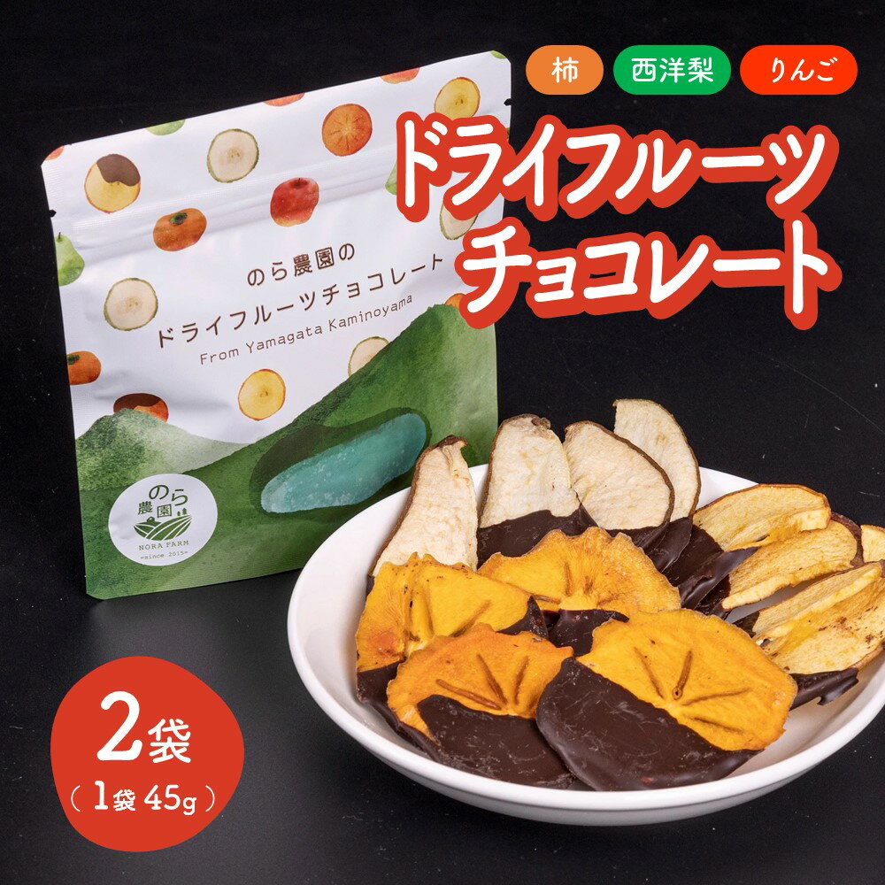 【2026年1月中旬から発送】◆第4回 山形 のうまいもの「ファインフードコンテスト」最優秀賞受賞◆ のら農園の ドライフルーツ チョコレート スイーツ 山形県 上山市 0123-2501