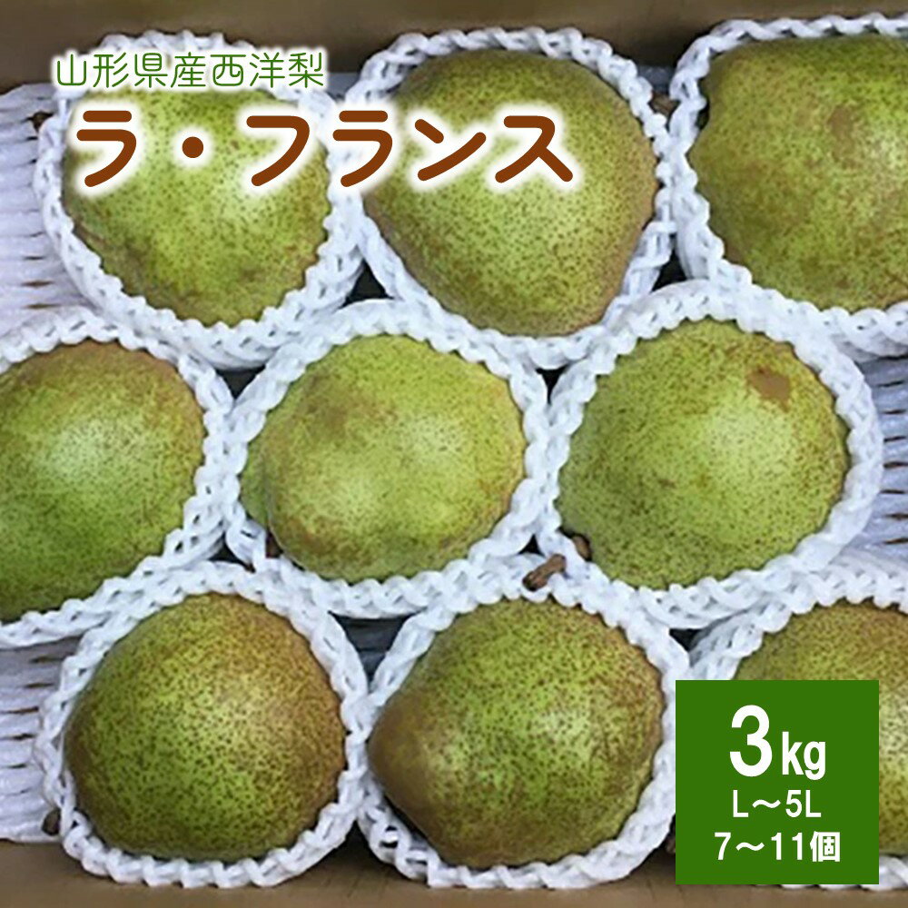 西洋梨 ( ラ・フランス ) 3kg 7～11個 5L～L サイズ ご家庭用 果物 フルーツ 洋梨 お取り寄せ 産地直送 送料無料 山形県 上山市 0134-2501