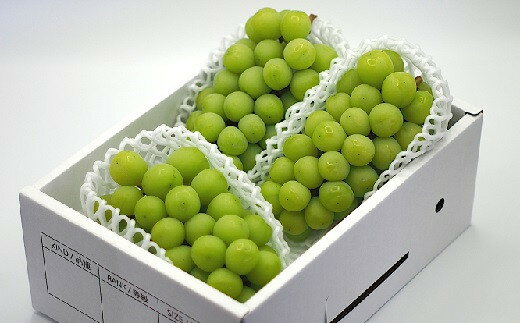 【ふるさと納税】上山産・絶品 シャインマスカット 1.8kg以上♪ 秀品 果物 フルーツ ぶどう お取り寄せ 山形 産地直送 送料無料 山形県 上山市 0140-2506 サムネイル3