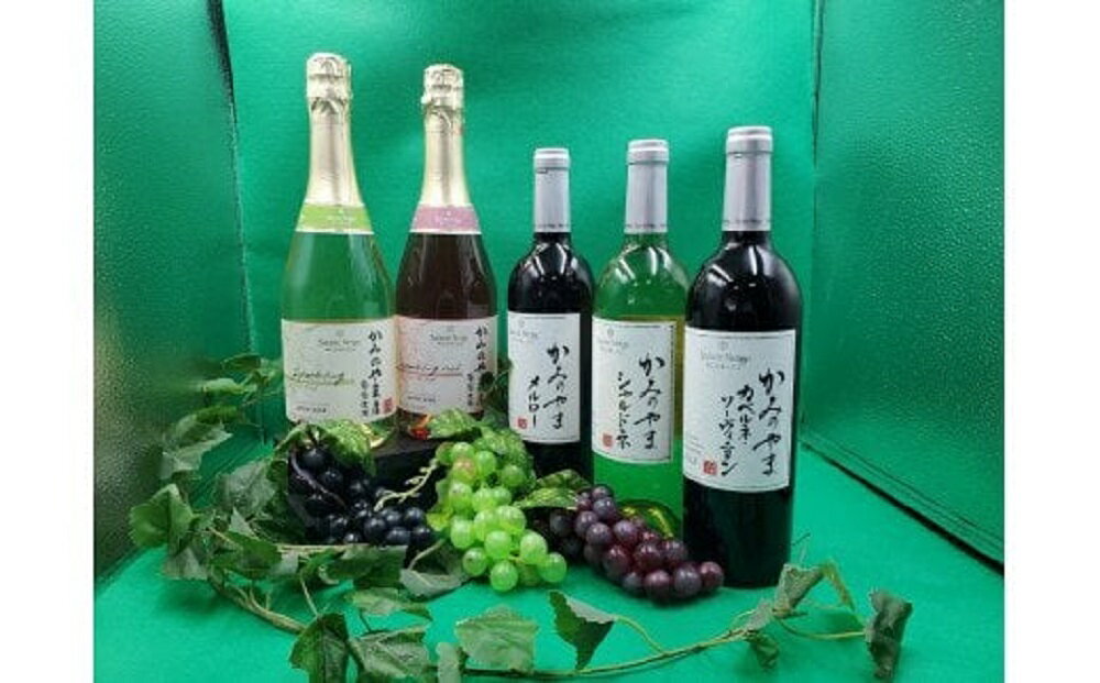 【ふるさと納税】【定期便：全5回】 サントネージュ かみのやまシリーズ ワイン 日本ワイン お取り寄せ 送料無料 山形県 上山市 0141-2420 サムネイル2