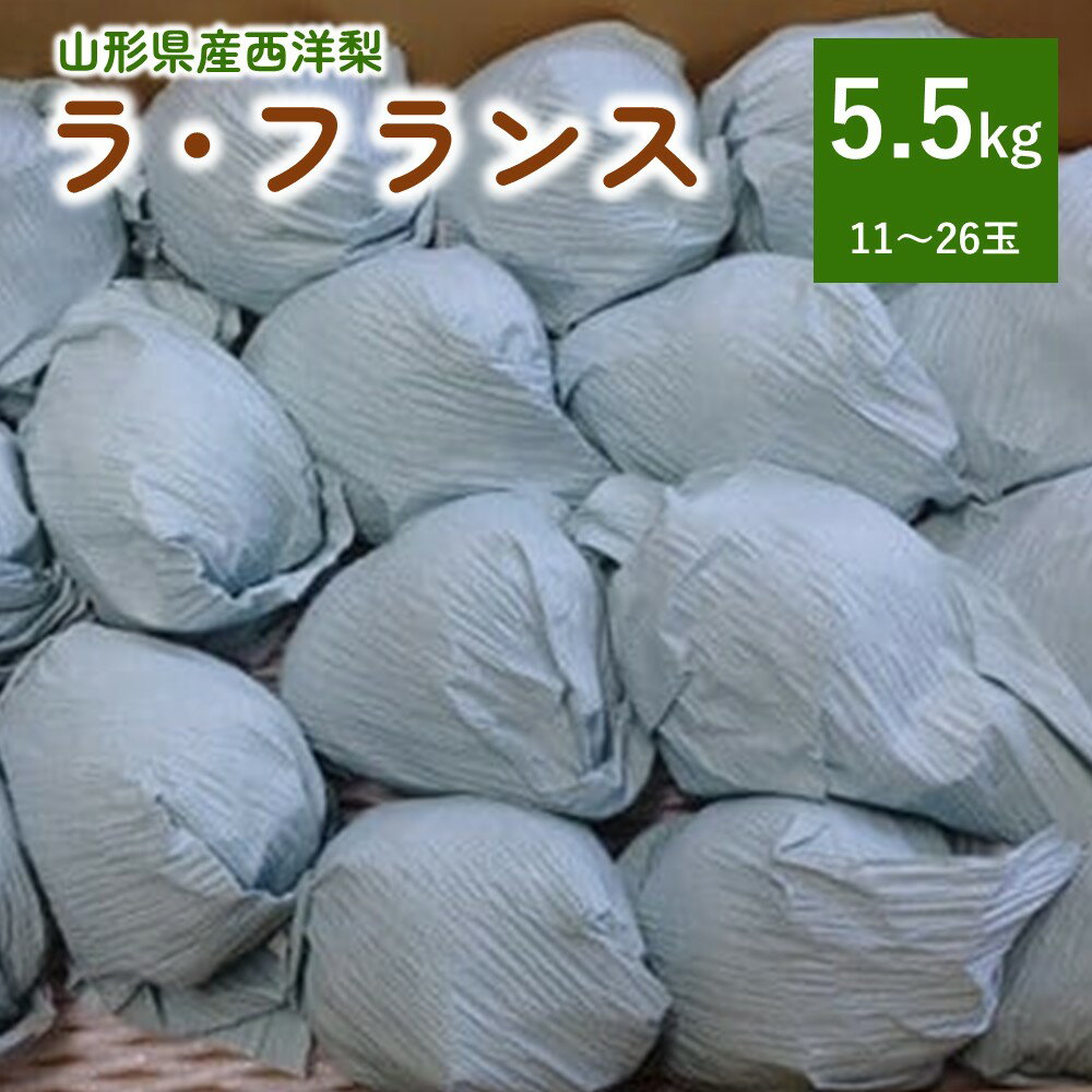 西洋梨 （ラ・フランス） 5.5kg ご家庭用 サイズ混合 果物 フルーツ 産地直送 山形 洋なし お取り寄せ 送料無料 山形県 上山市 0142-2513