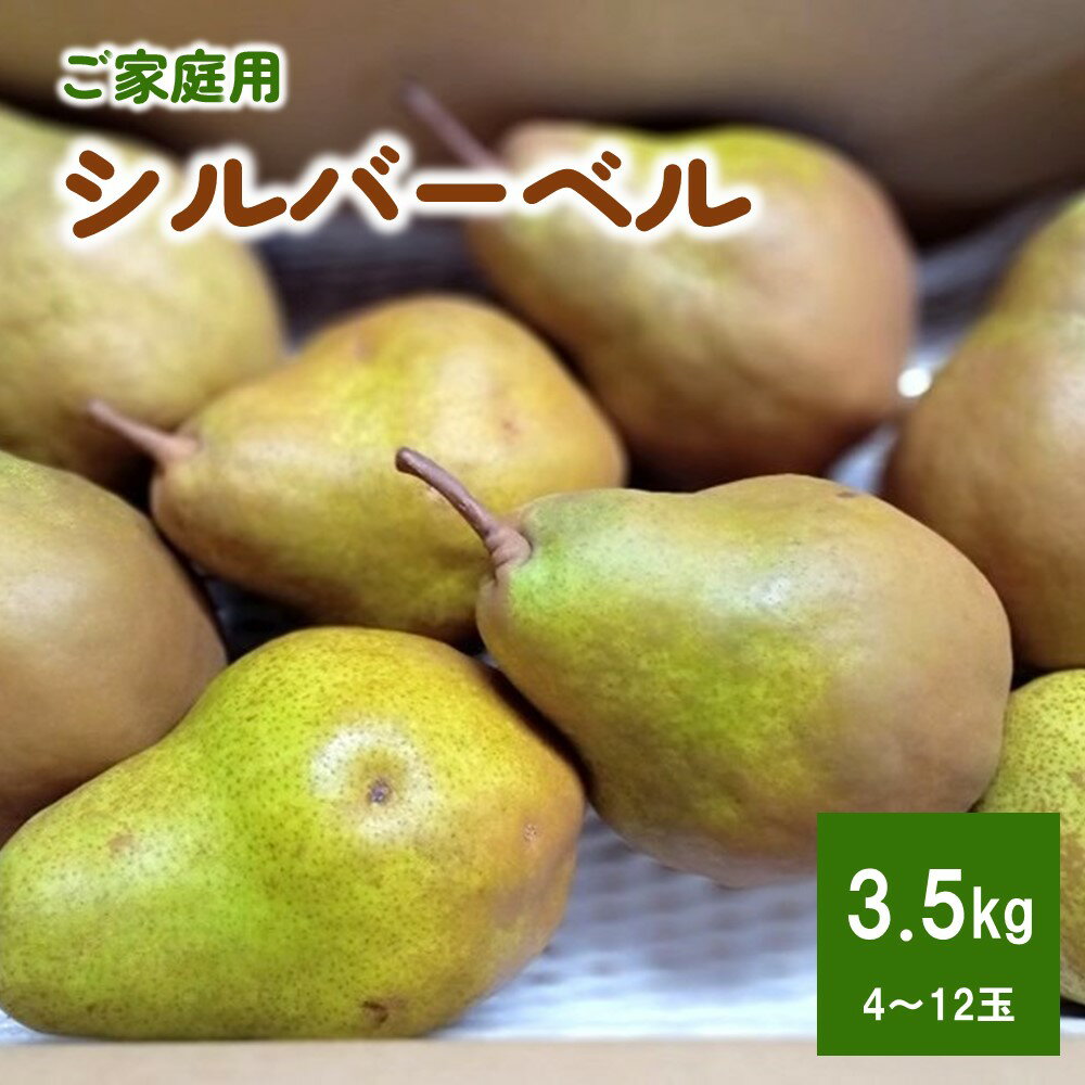 西洋梨 （シルバーベル） 3.5kg ご家庭用 サイズ混合 果物 フルーツ 産地直送 山形 洋なし お取り寄せ 送料無料 山形県 上山市 0142-2515