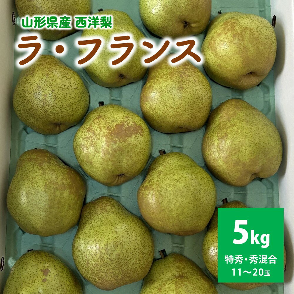 西洋梨 （ラ・フランス） 5kg 贈答用 サイズ混合 秀品・特秀品混合 果物 フルーツ 産地直送 山形 洋なし お取り寄せ 送料無料 山形県 上山市 0142-2512