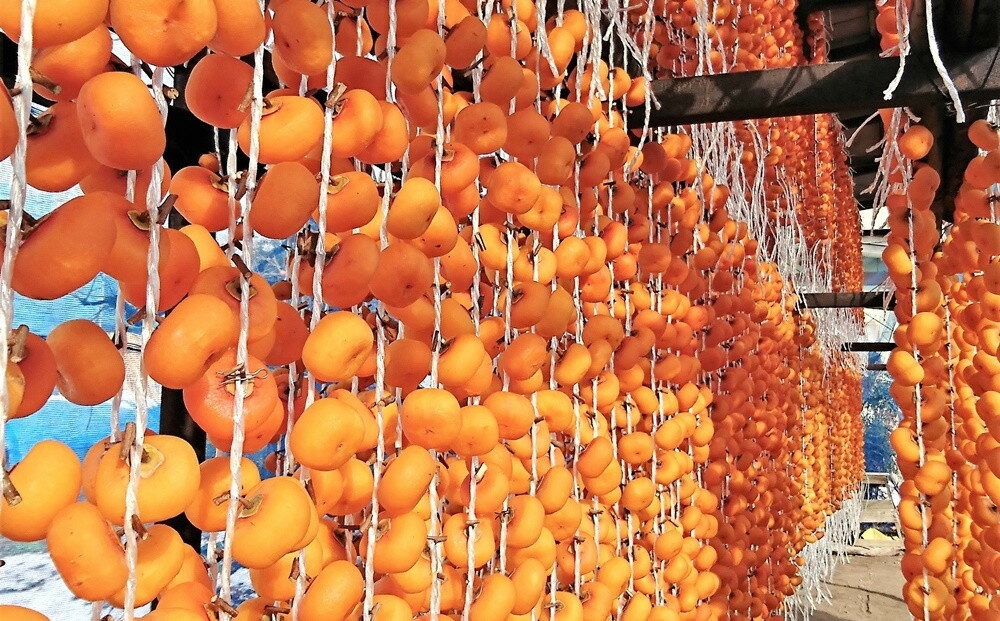 【ふるさと納税】紅干し柿 50果 1本 2L サイズ 以上 和菓子 山形県 上山市 0107-2502 サムネイル3