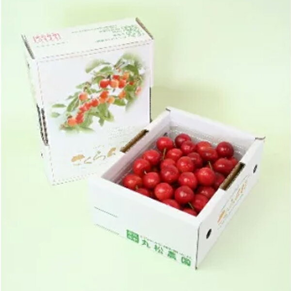 【ふるさと納税】【先行予約】 さくらんぼ 佐藤錦 秀品 L玉 500g×1パック バラ詰 2026年産 令和8年産 山形県産 送料無料 サムネイル2