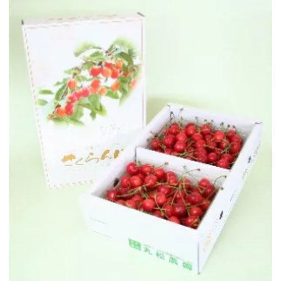 【ふるさと納税】【先行予約】 さくらんぼ 佐藤錦 秀品 500g×2パック 1kg L玉 バラ詰 2026年産 令和8年産 山形県産 送料無料 サムネイル2