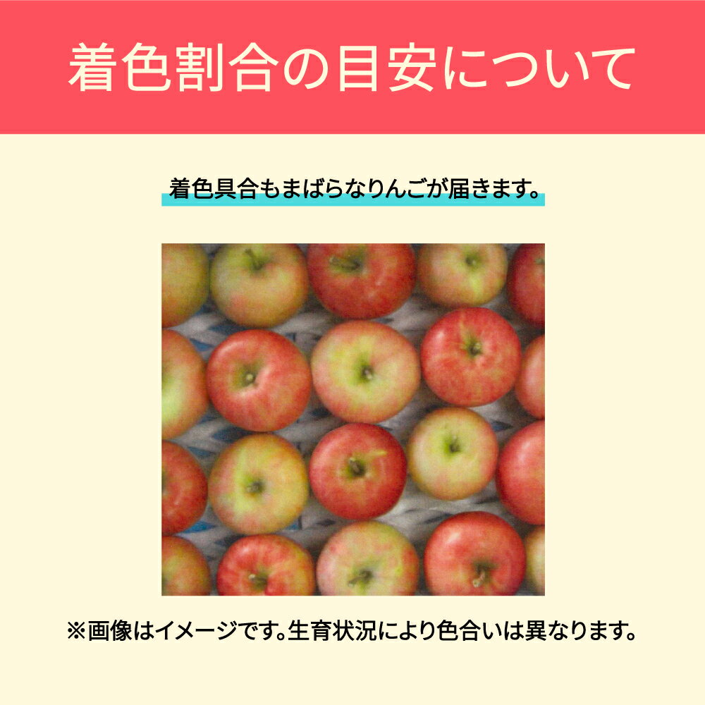 【ふるさと納税】【先行予約】 りんご 品種おまかせ 10kg 色むら 傷あり へこみ 変形 昂林 シナノスイート サンふじ ◯秀 無印 2025年産 令和7年産 送料無料 ja-ri3kx10 ※沖縄・離島への配送不可 サムネイル3