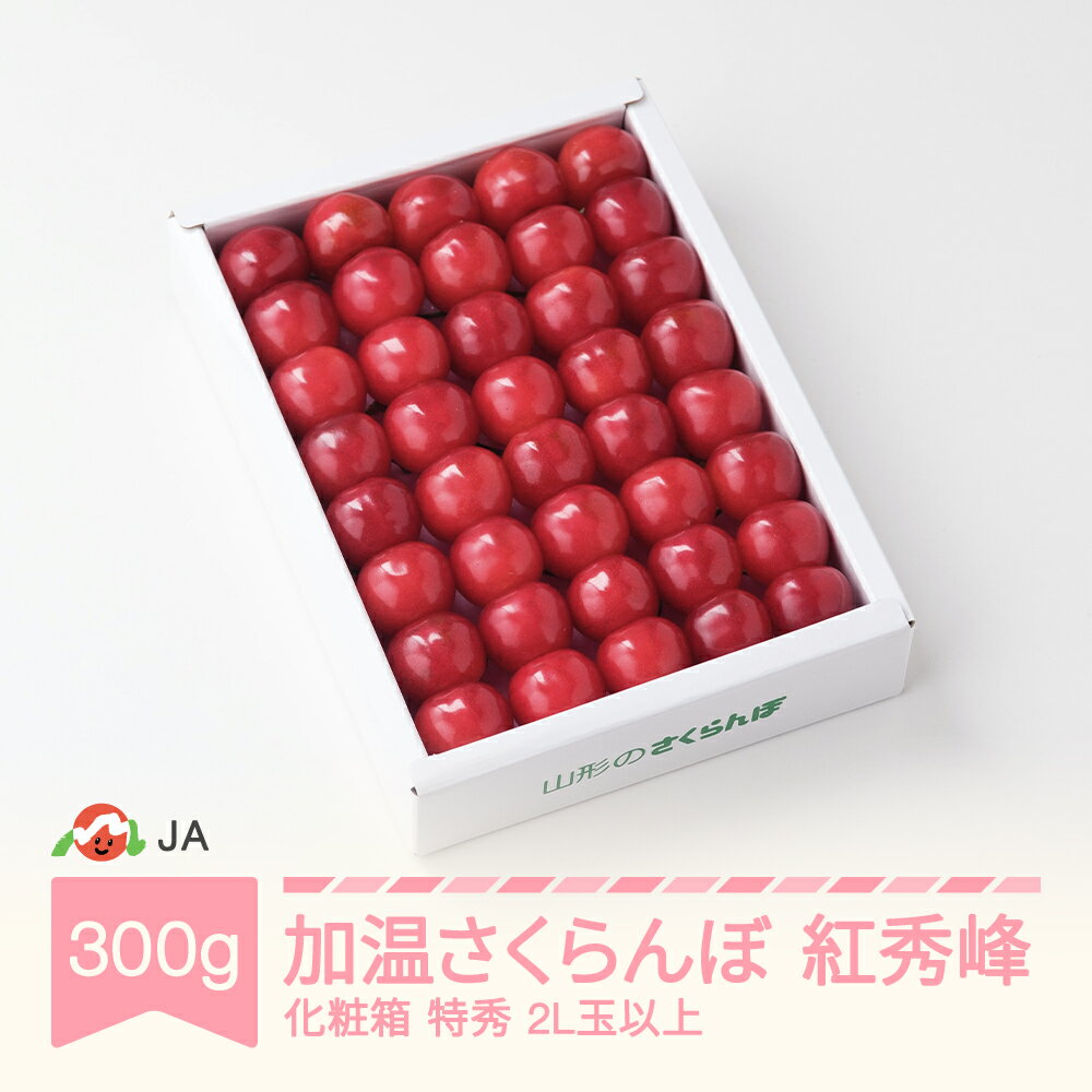 【先行予約】 加温ハウス さくらんぼ 紅秀峰 300g 化粧箱 特秀2L玉以上 2026年産 令和8年産 早出し 送料無料 サクランボ