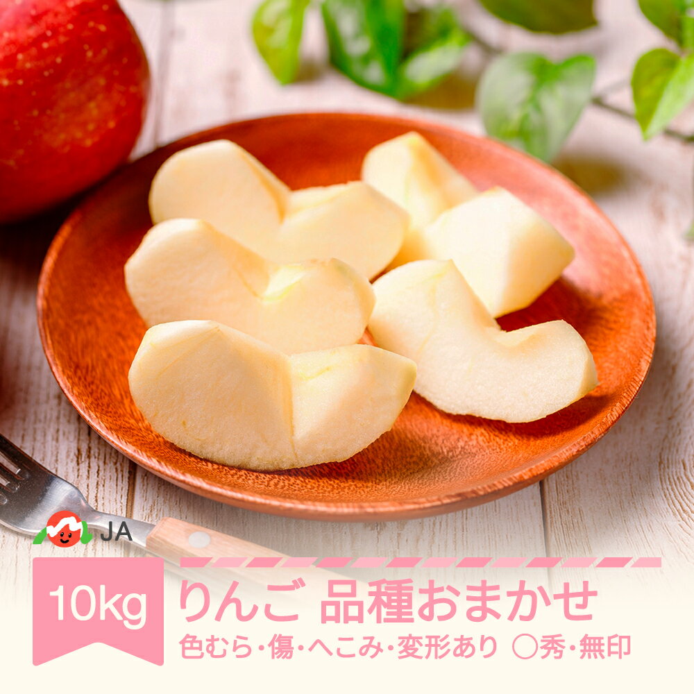 【先行予約】 りんご 品種おまかせ 10kg 色むら 傷あり へこみ 変形 昂林 シナノスイート サンふじ ◯秀 無印 2025年産 令和7年産 送料無料 ja-ri3kx10 ※沖縄・離島への配送不可