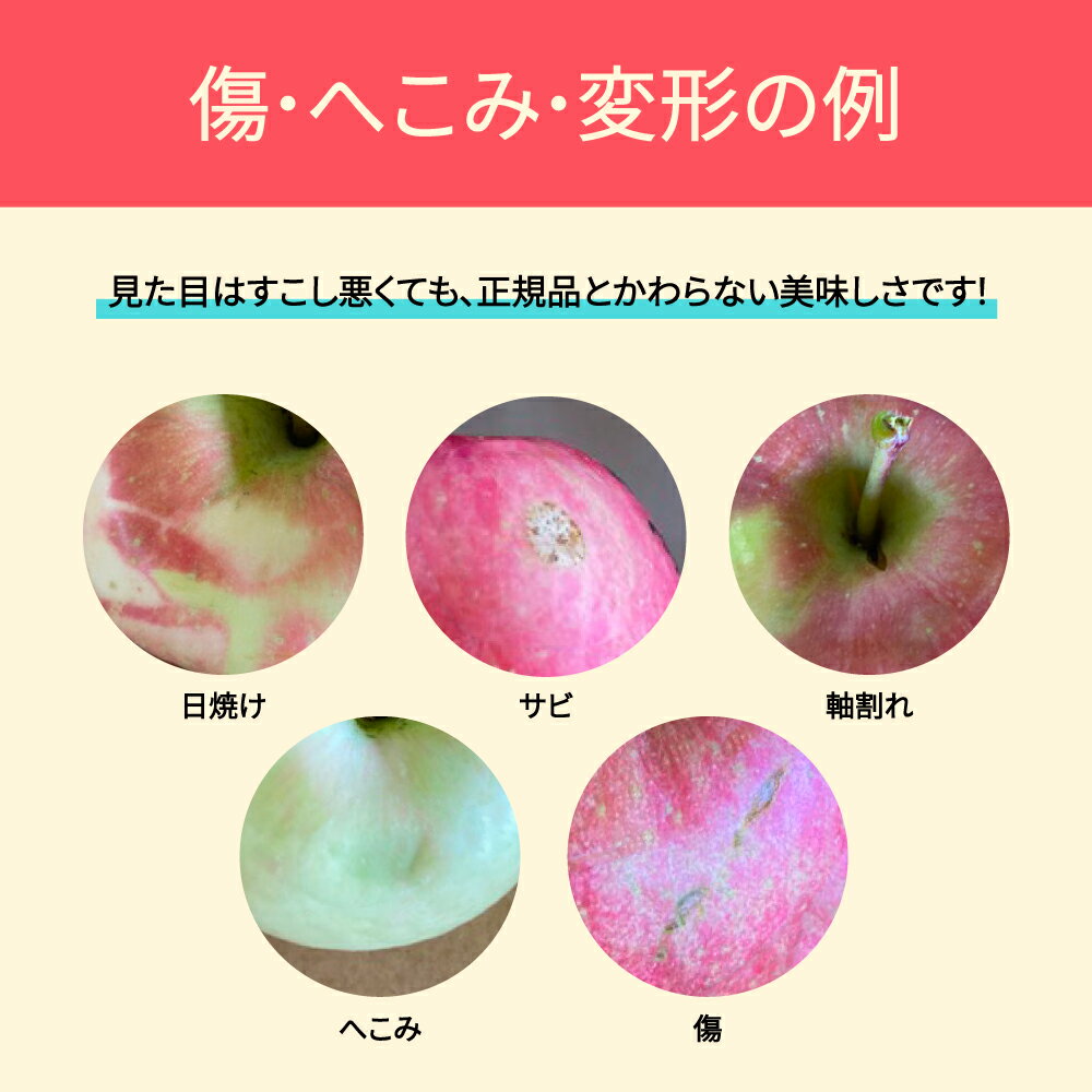 【ふるさと納税】【先行予約】 りんご 品種おまかせ 10kg 色むら 傷あり へこみ 変形 昂林 シナノスイート サンふじ ◯秀 無印 2025年産 令和7年産 送料無料 ja-ri3kx10 ※沖縄・離島への配送不可 サムネイル2
