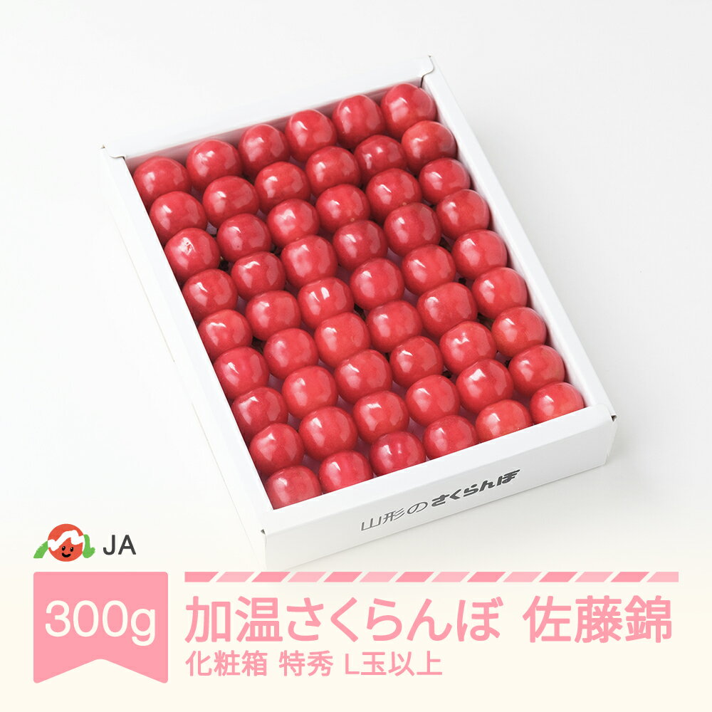 【先行予約】 加温ハウス さくらんぼ 佐藤錦 2026年産 令和8年産 300g 化粧箱 特秀L玉以上 早出し 送料無料 サクランボ