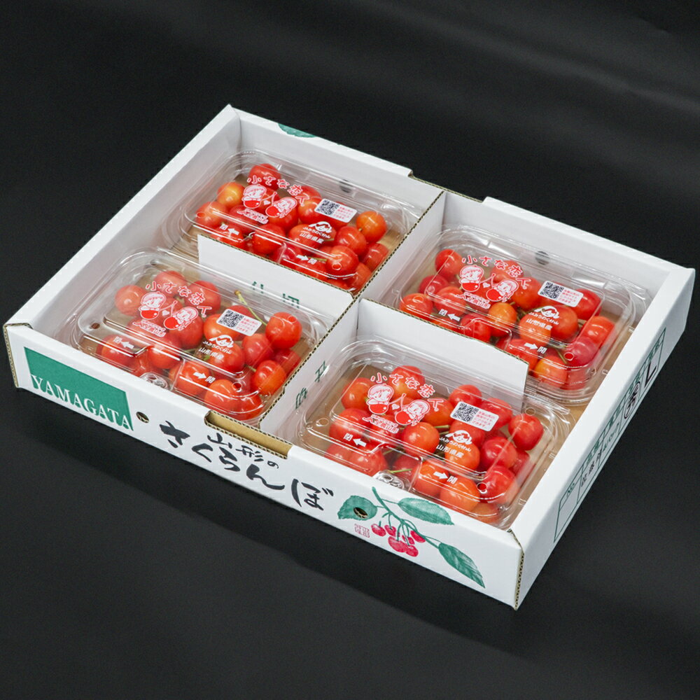 【ふるさと納税】【先行予約】 さくらんぼ 佐藤錦 ◯秀 M玉以上 180g×4パック 計720g フードパック 2026年産 令和8年産 果物 果樹 フルーツ 送料無料 サムネイル2