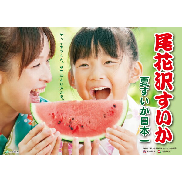 【ふるさと納税】【先行予約】 大玉 すいか スイカ 2L×2玉入り 令和8年産 2026年産 尾花沢すいか 果物 送料無料 - 画像3
