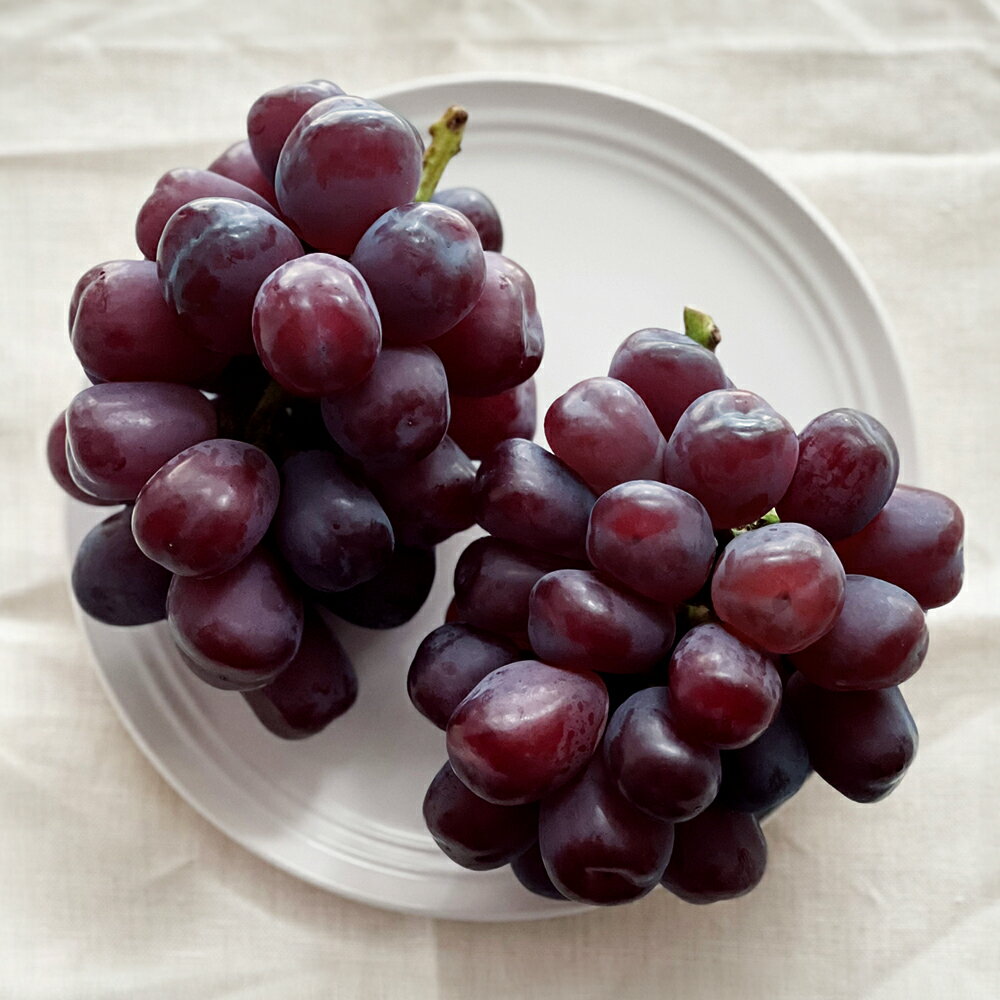 【ふるさと納税】【先行予約】ぶどう ブドウ ブラックシャインマスカット 富士のかがやき 約1.5kg 2房 2026年産 令和8年産 山形県産 送料無料 ※沖縄・離島への配送不可 mm-bufkx1500 サムネイル2