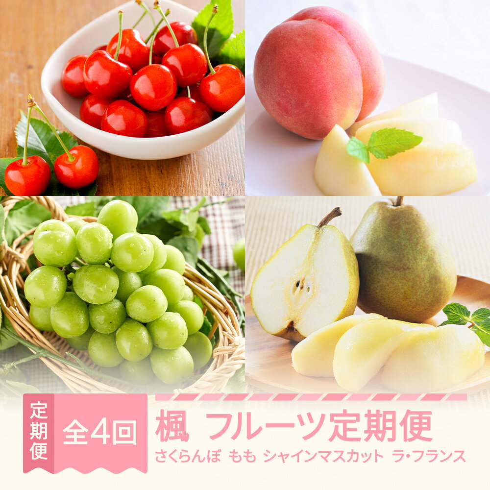 【先行予約】 楓 フルーツ 定期便 山形 2025年産春始まり さくらんぼ 佐藤錦 桃 もも シャインマスカット ラ・フランス 全4回 フルーツ定期便 送料無料 ※沖縄・離島への配送不可