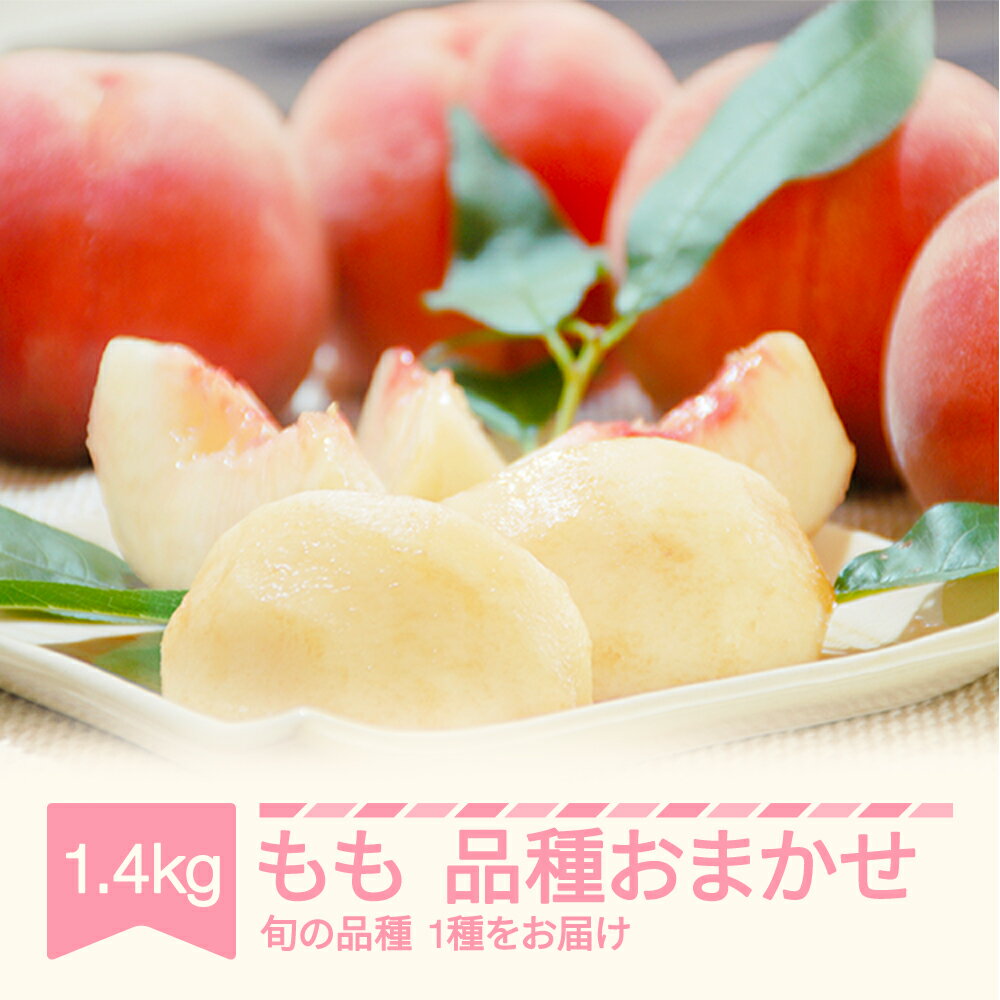 【先行予約】 もも 桃 品種おまかせ 約1.4kg 2026年産 山形県産 令和8年産 送料無料※沖縄・離島への配送不可