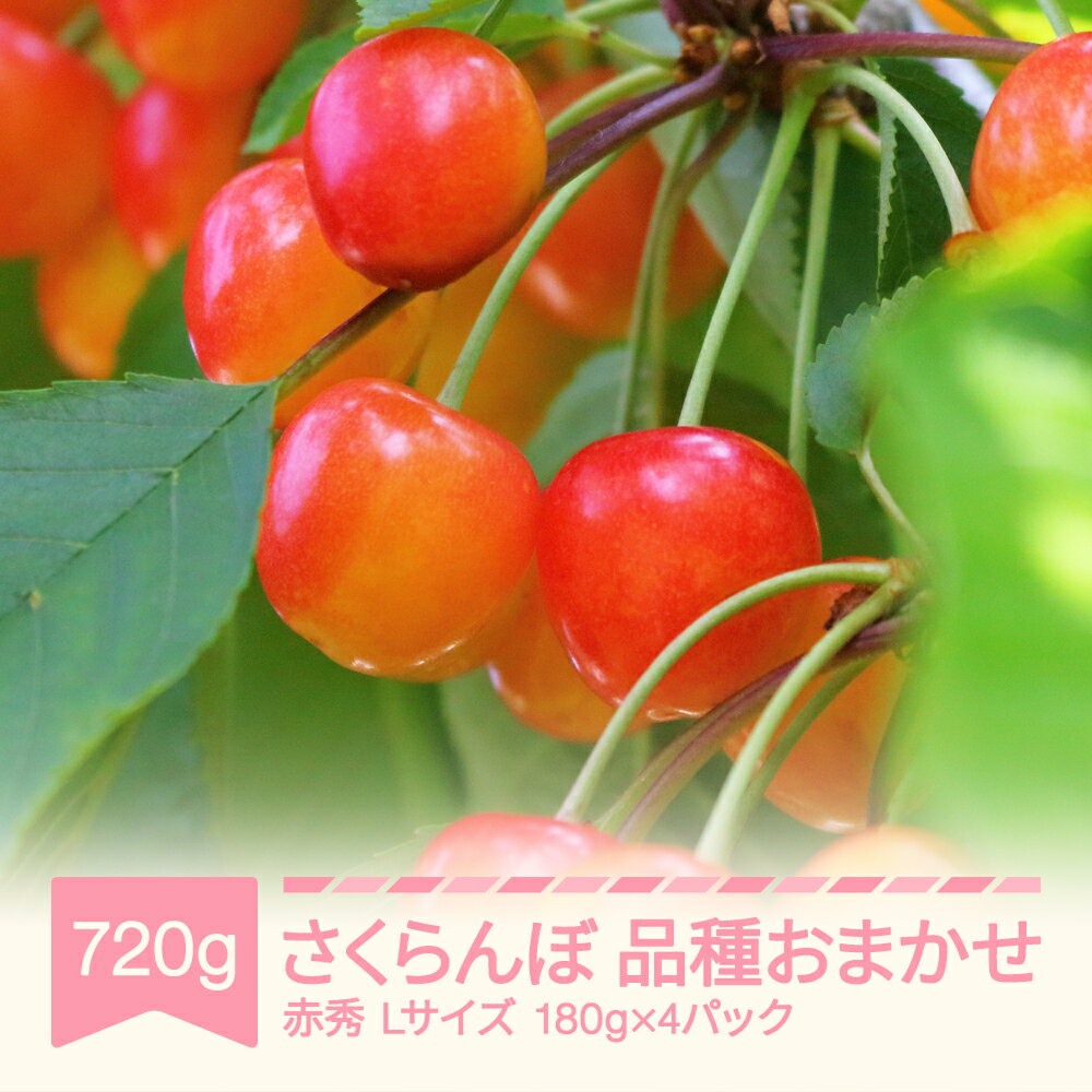 【先行予約】さくらんぼ 品種おまかせ 赤秀 Lサイズ 720g 180g×4パック 2026年産 令和8年産 山形県産 送料無料 ※沖縄・離島への配送不可 mm-saoal720