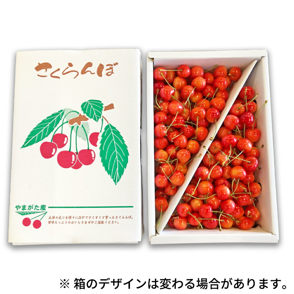 【ふるさと納税】【先行予約】 さくらんぼ 佐藤錦 赤秀 M玉 1kg バラ詰 2026年産 令和8年産 山形県産 サムネイル2