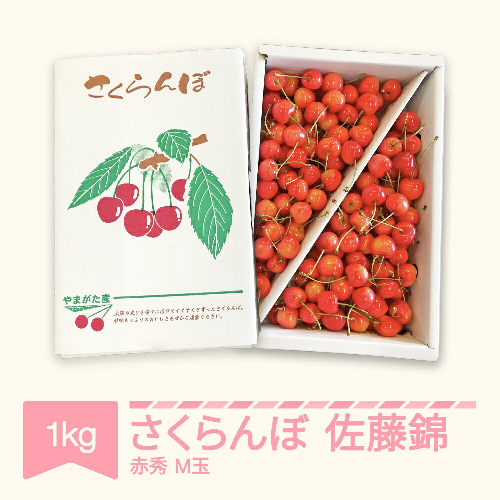 【先行予約】 さくらんぼ 佐藤錦 赤秀 M玉 1kg バラ詰 2026年産 令和8年産 山形県産