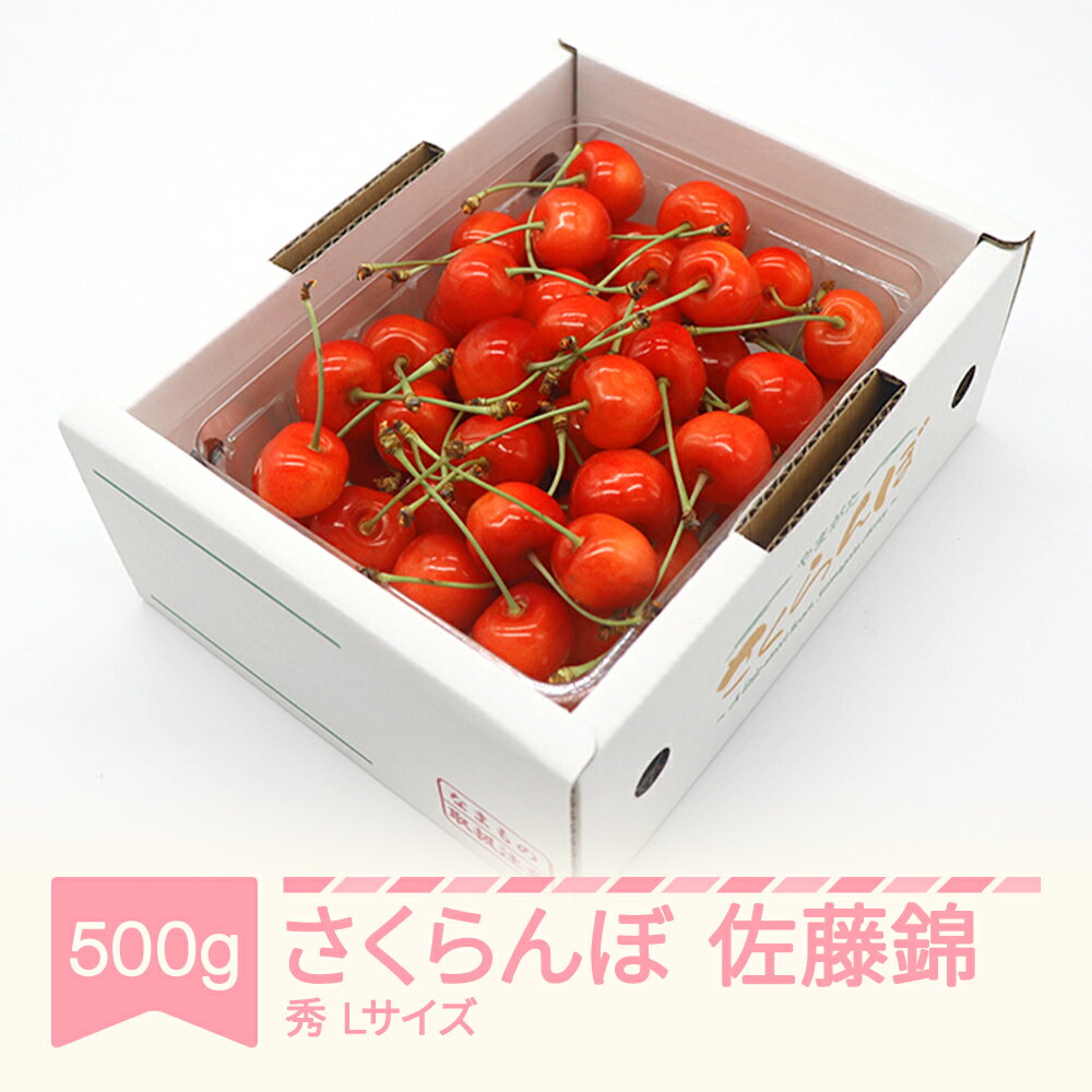 【先行予約】 さくらんぼ 佐藤錦 秀品 L玉 500g×1パック バラ詰 2026年産 令和8年産 山形県産 送料無料