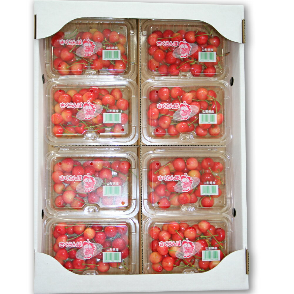 【ふるさと納税】【先行予約】 さくらんぼ 佐藤錦 赤秀品 L玉 180g×8パック 2026年産 令和8年産 山形県産 サムネイル2