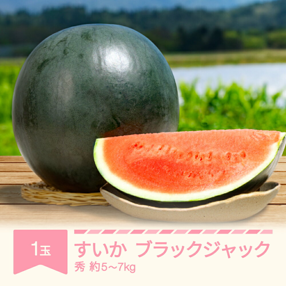 【先行予約】 すいか ブラックジャック 1玉 約5~7kg 令和8年産 2026年産 果物 送料無料 ※沖縄・離島への配送不可 no-subjc1