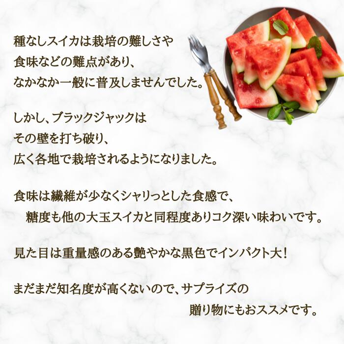 【ふるさと納税】【先行予約】 すいか ブラックジャック 1玉 約8~9kg 令和8年産 2026年産 果物 送料無料 ※沖縄・離島への配送不可 no-subjx1 サムネイル3