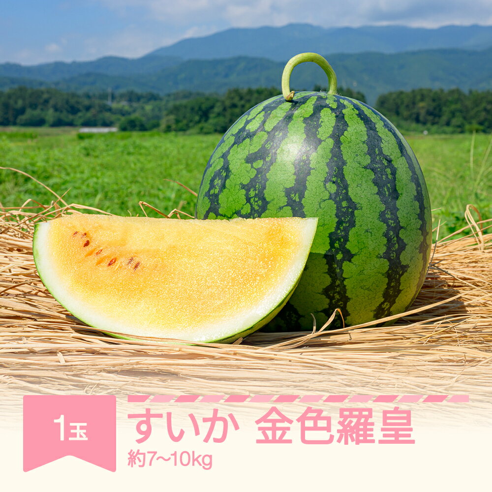 【先行予約】 すいか 金色羅皇（7~10kg) 秀品 1玉 令和8年産 2026年産 スイカ 果物 送料無料 ※沖縄・離島への配送不可 no-sukrx7