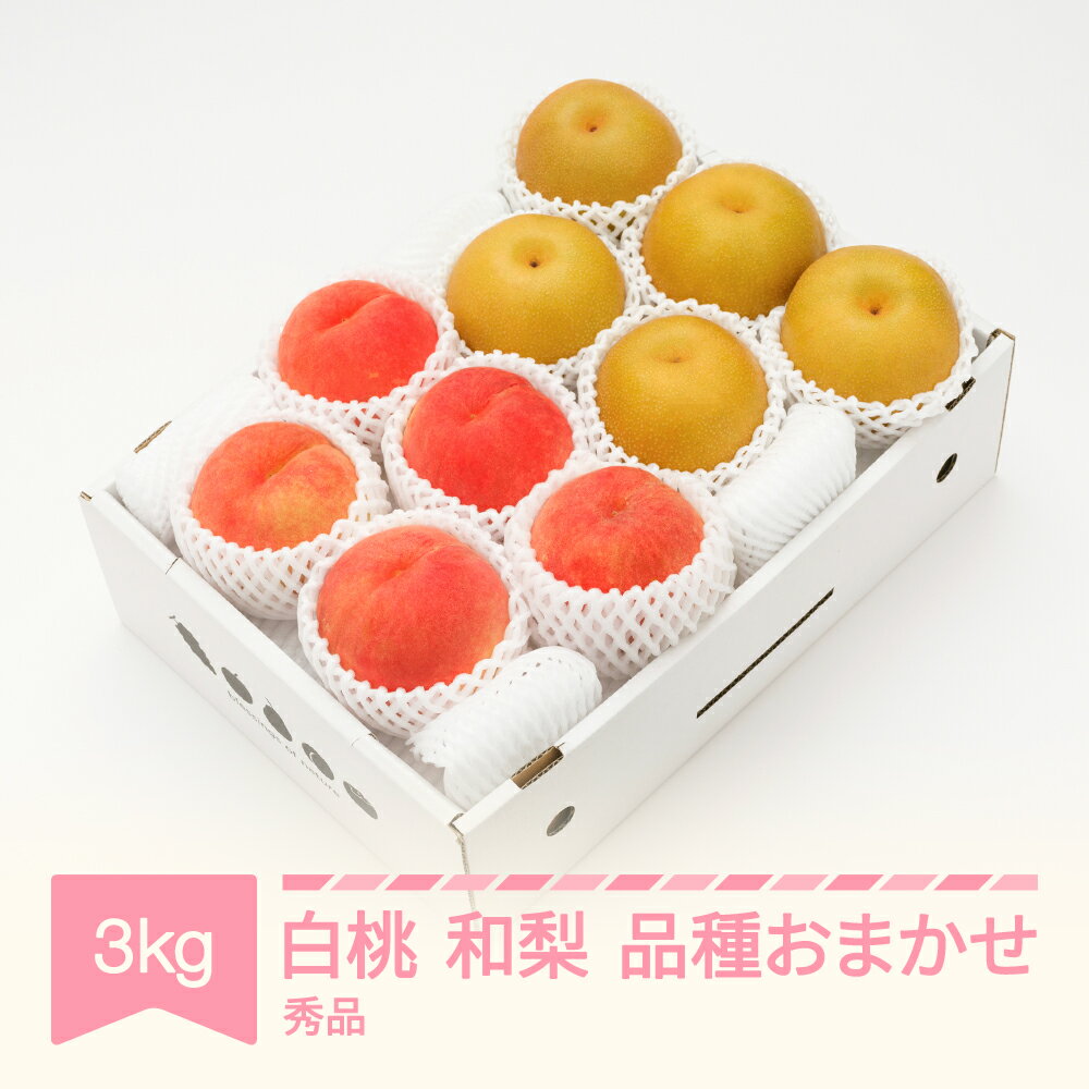 【先行予約】 もも なし 白桃 秀品＆和梨 品種おまかせ 約3kg 令和8年産 2026年産 山形県産 果物 送料無料 ns-fshnx3※沖縄・離島への配送不可