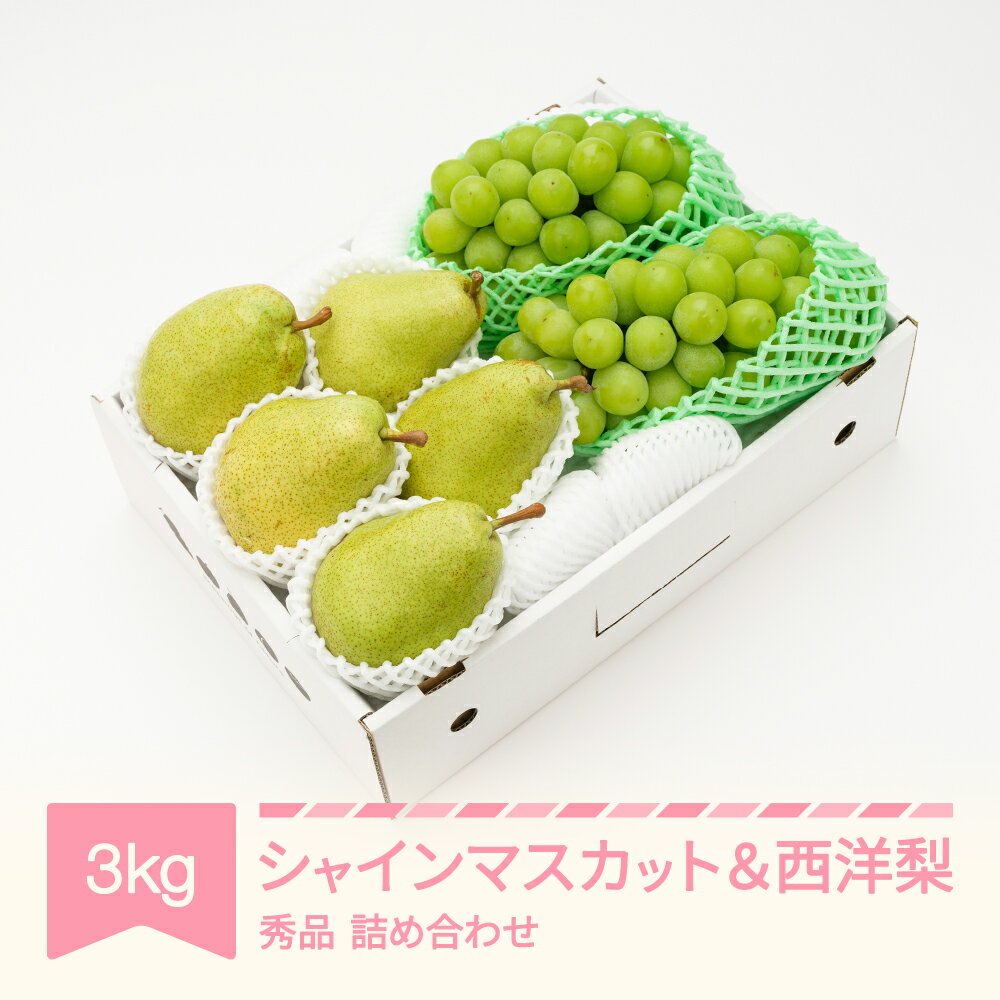 【先行予約】 シャインマスカット 秀品 & 西洋梨 詰め合わせ 3kg 令和8年産 2026年産 果物 梨 送料無料 ns-fssyx3 ※沖縄・離島への配送不可
