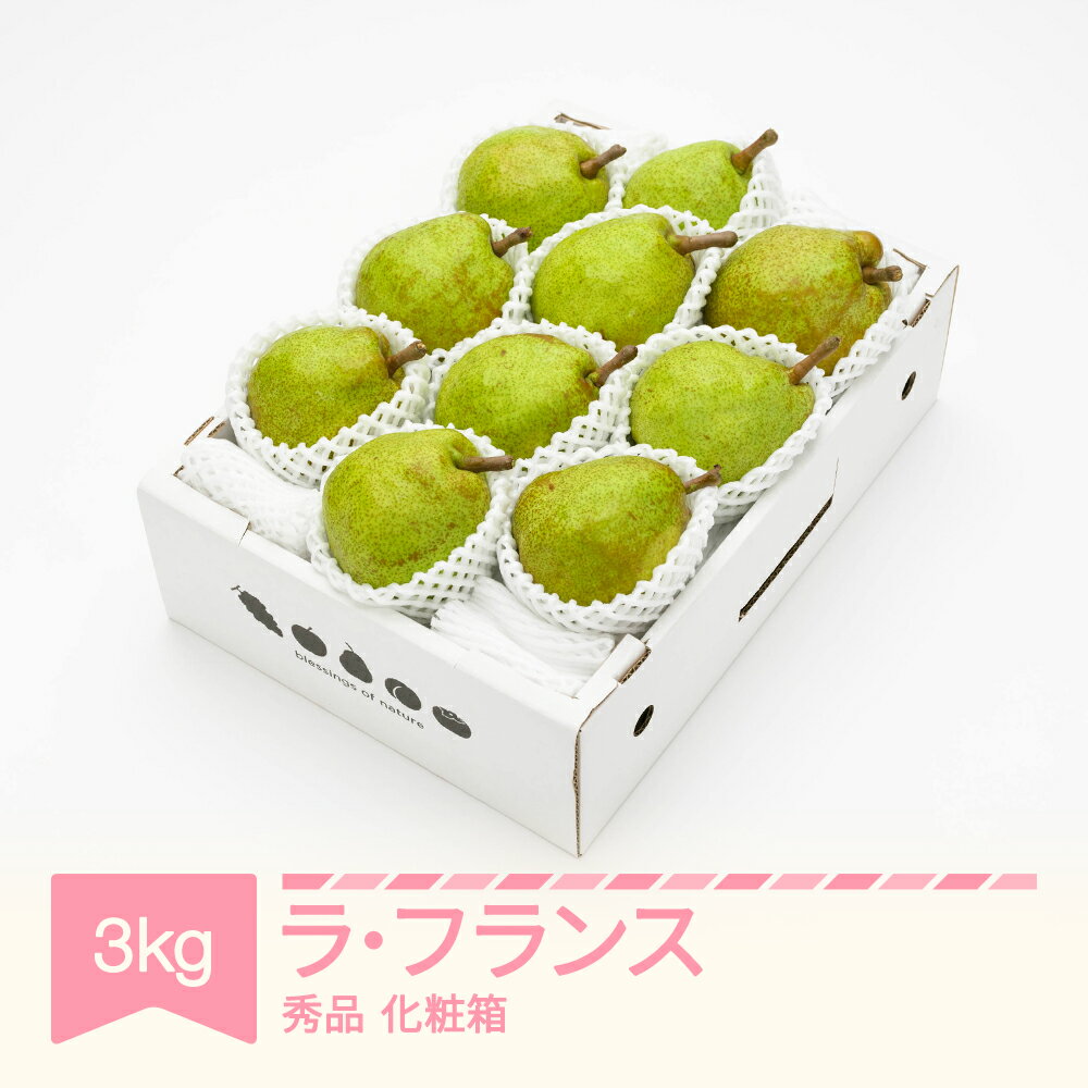 【先行予約】 ラ・フランス 化粧箱 3kg 令和7年産 2025年産 山形県産 果物 ラフランス 送料無料 ※沖縄・離島への配送不可　ns-laxxx3