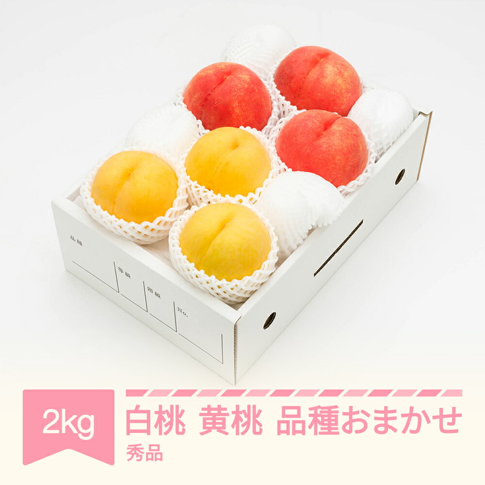【先行予約】 もも 白桃＆有袋黄桃 秀品 品種おまかせ 化粧箱入り 約2kg 令和8年産 2026年産 山形県産 果物 送料無料 ns-mohot2※沖縄・離島への配送不可