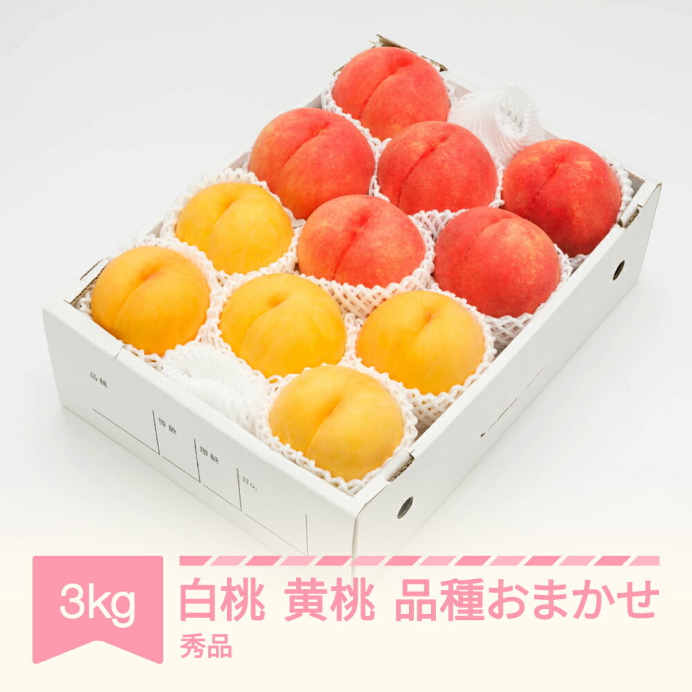 【先行予約】 もも 白桃＆有袋黄桃 秀品 品種おまかせ 化粧箱入り 約3kg 令和8年産 2026年産 山形県産 果物 送料無料 ns-mohot3※沖縄・離島への配送不可