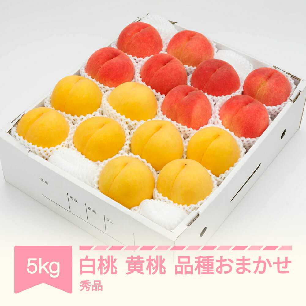 【先行予約】 もも 白桃＆有袋黄桃 秀品 品種おまかせ 化粧箱入り 約5kg 令和8年産 2026年産 山形県産 果物 送料無料 ns-mohot5※沖縄・離島への配送不可